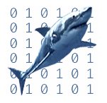 SharkIcon