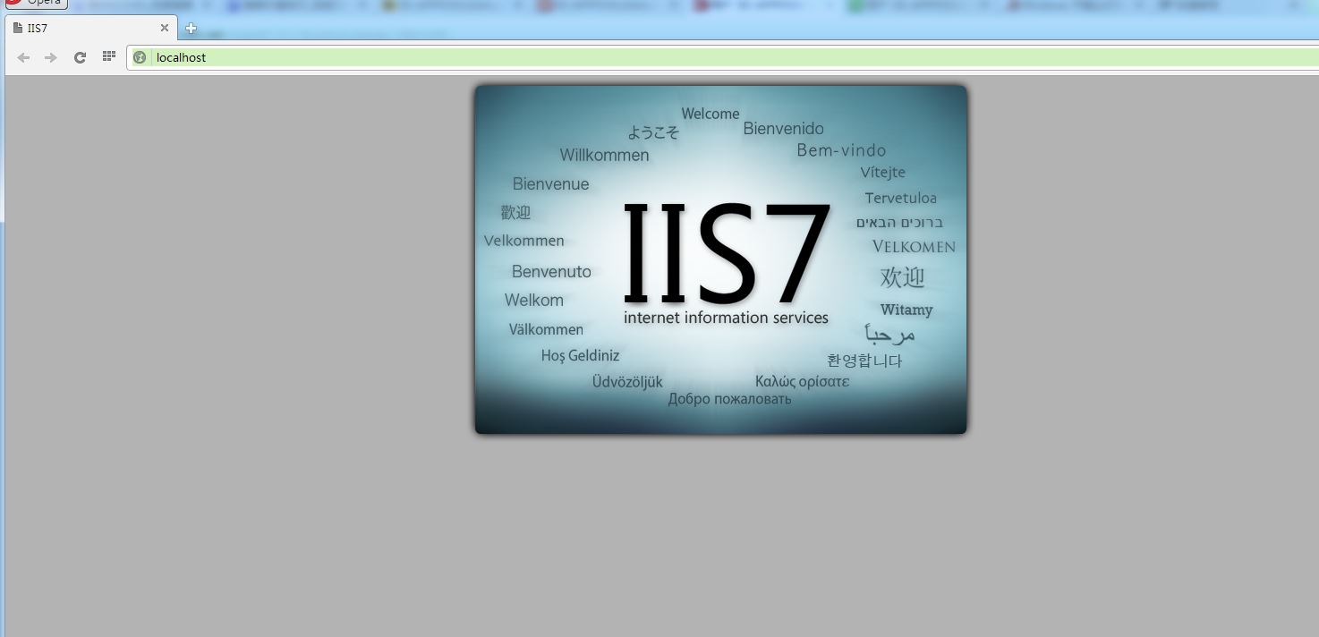 WIN7 + IIS7 Service Unavailable HTTP Error 503. The service is unavailable.