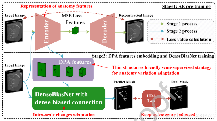 Dense biased networks with deep priori anatomy and hard region adaptation: Semi-supervised learning