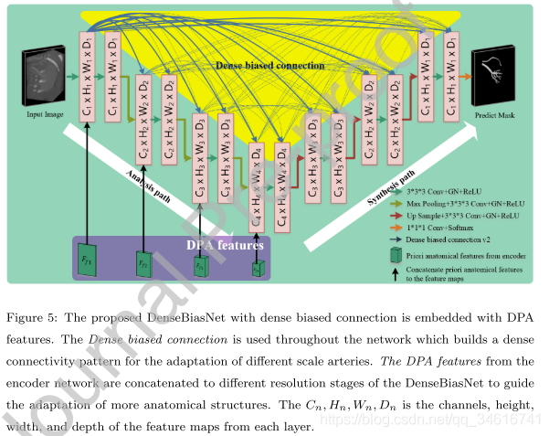 Dense biased networks with deep priori anatomy and hard region adaptation: Semi-supervised learning