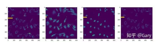 Kaggle-൰ͼͼ(Human Protein Atlas)