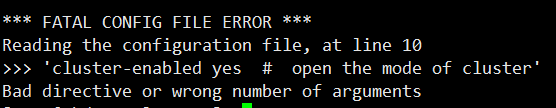 FATAL CONFIG FILE ERROR Bad directive or wrong number of arguments