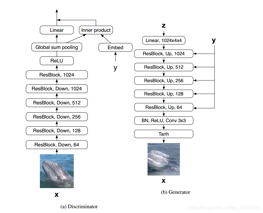 CGANS with projection discriminatorʵϸ