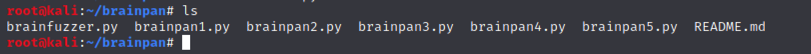 OSCP Brainpan л͸