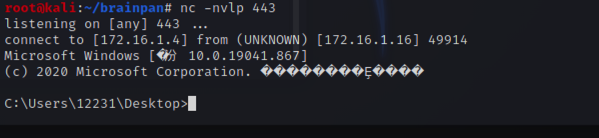 OSCP Brainpan л͸