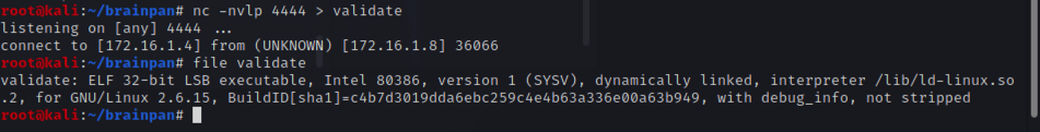 OSCP Brainpan л͸