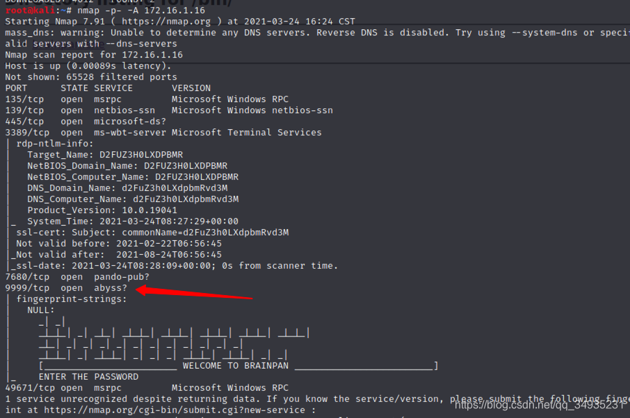 OSCP Brainpan л͸